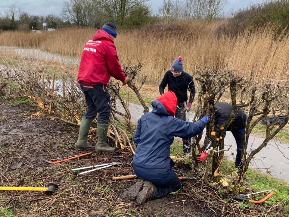 A photo depicticting the volunteer task day